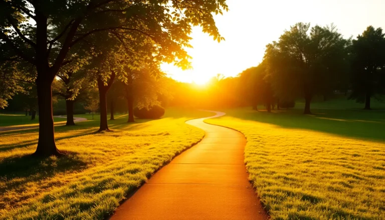 2025년 건강한 삶을 위한 맞춤형 운동 루틴 가이드